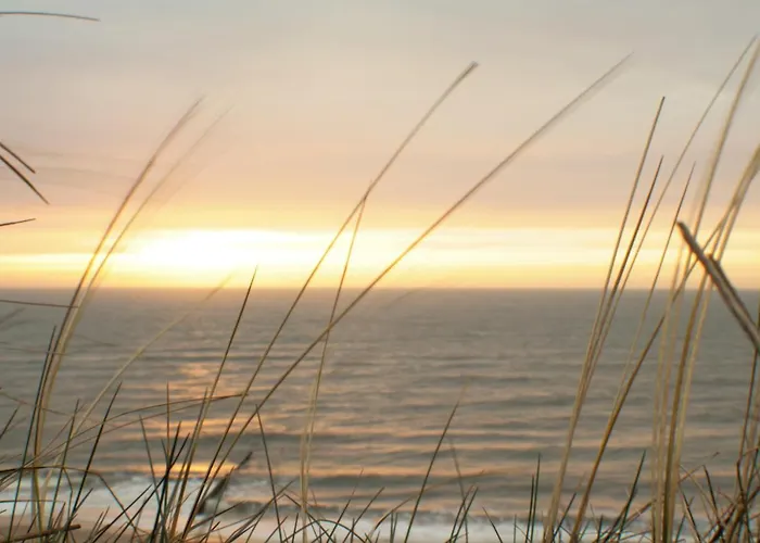 Windeby 1t * Wenningstedt-Braderup